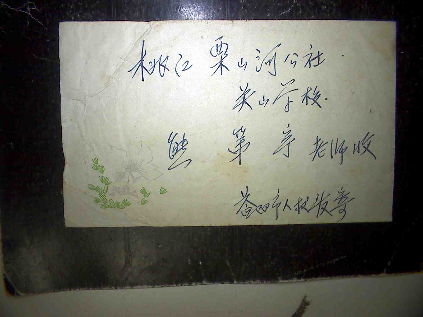 Image4161.jpg