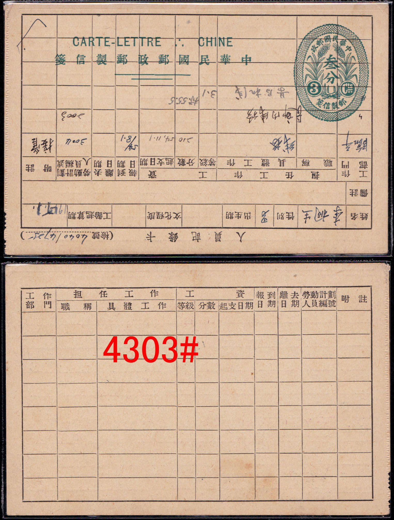 4303.jpg
