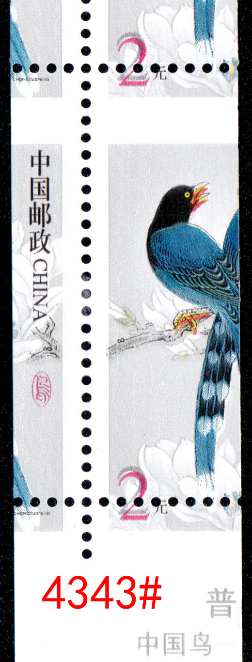 4343-1.jpg