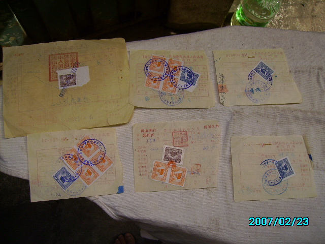 SANY9880.JPG