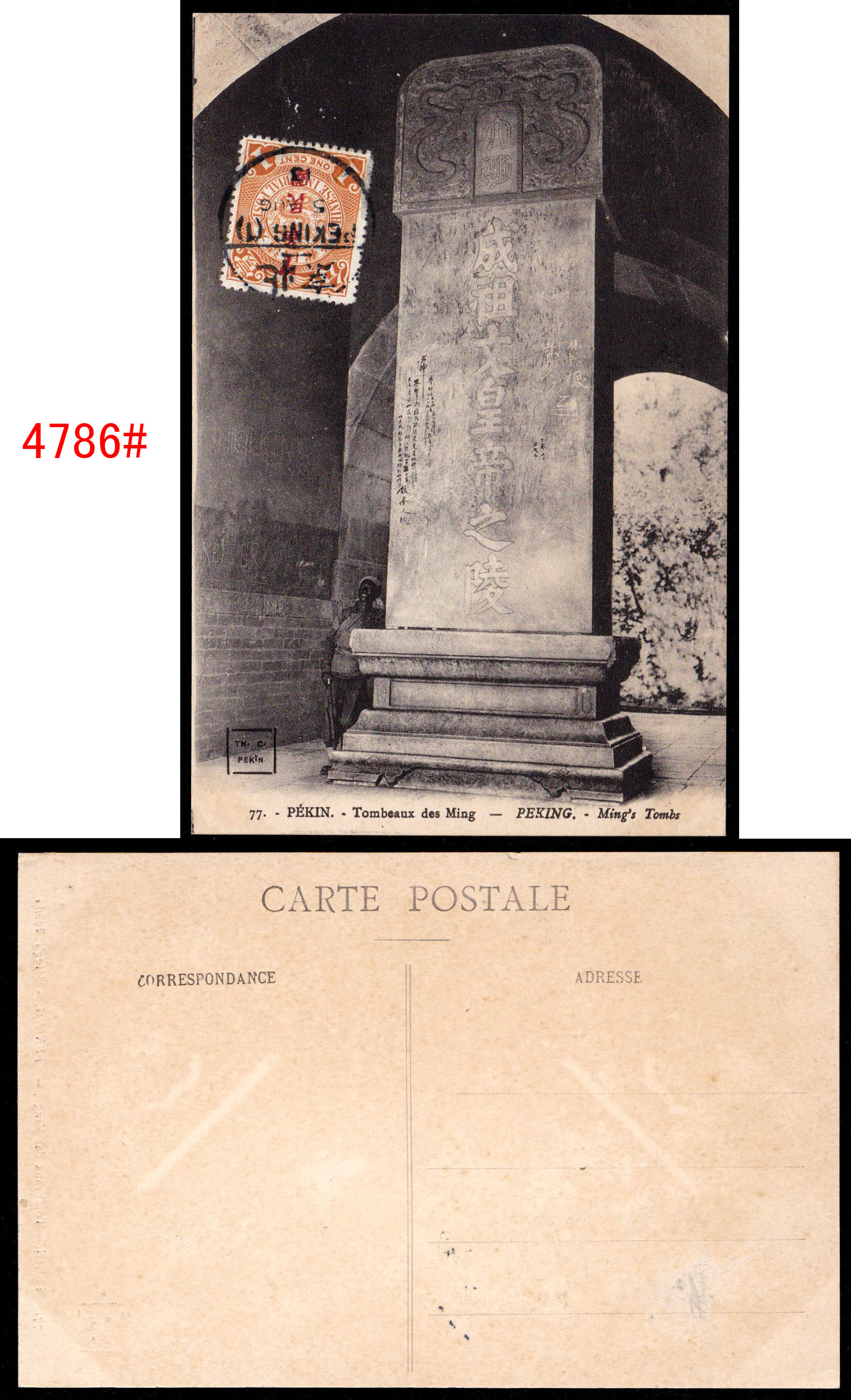 4786.jpg