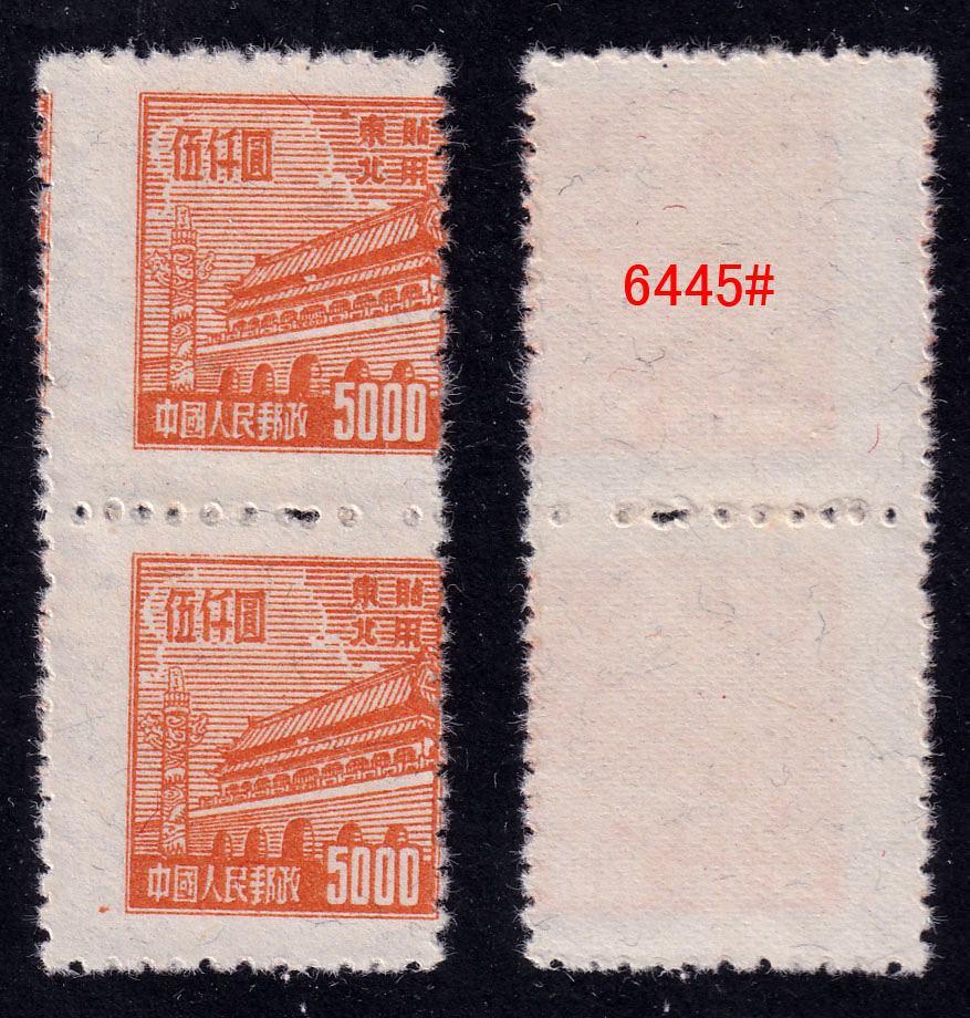 6445.jpg