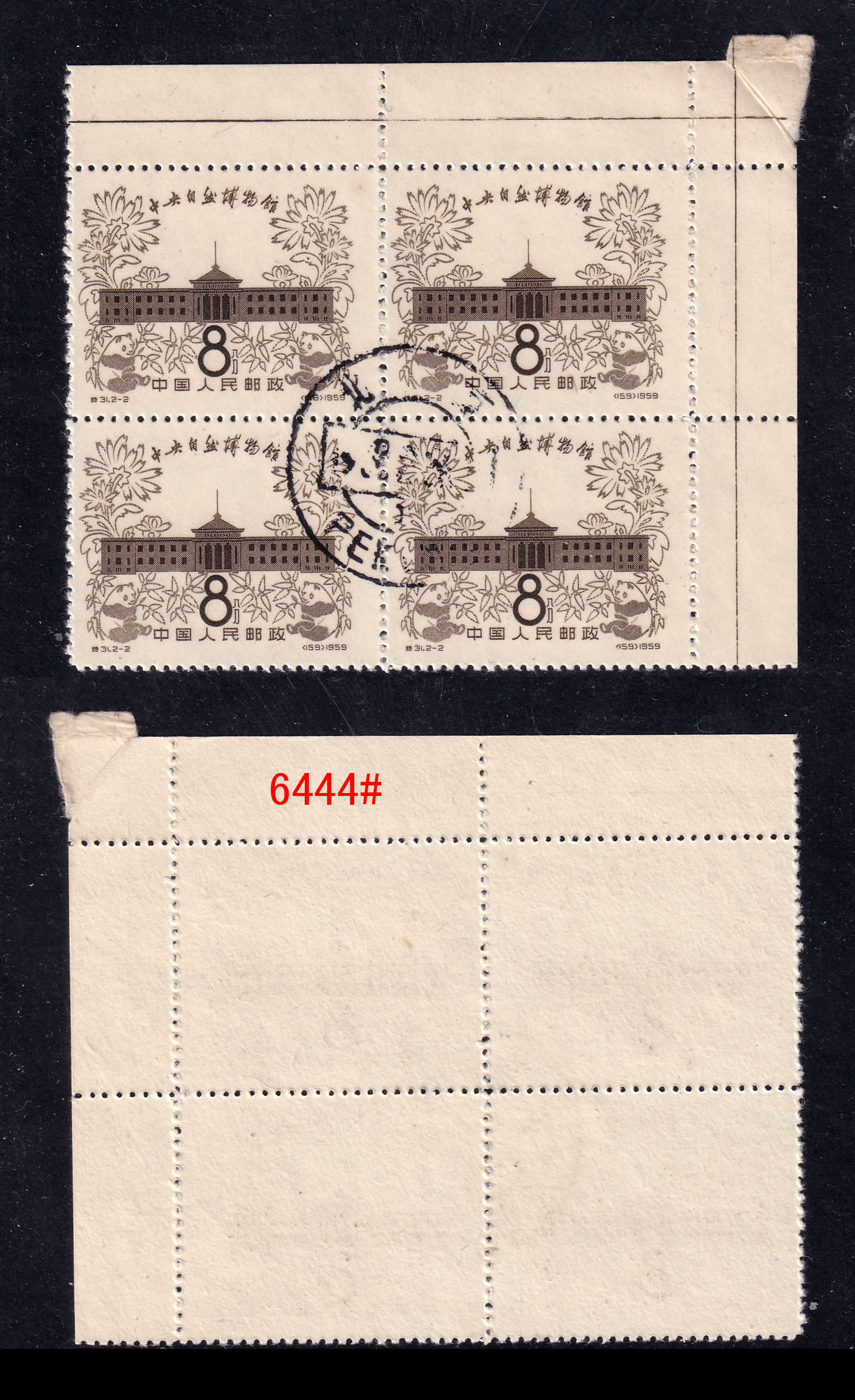6444.jpg