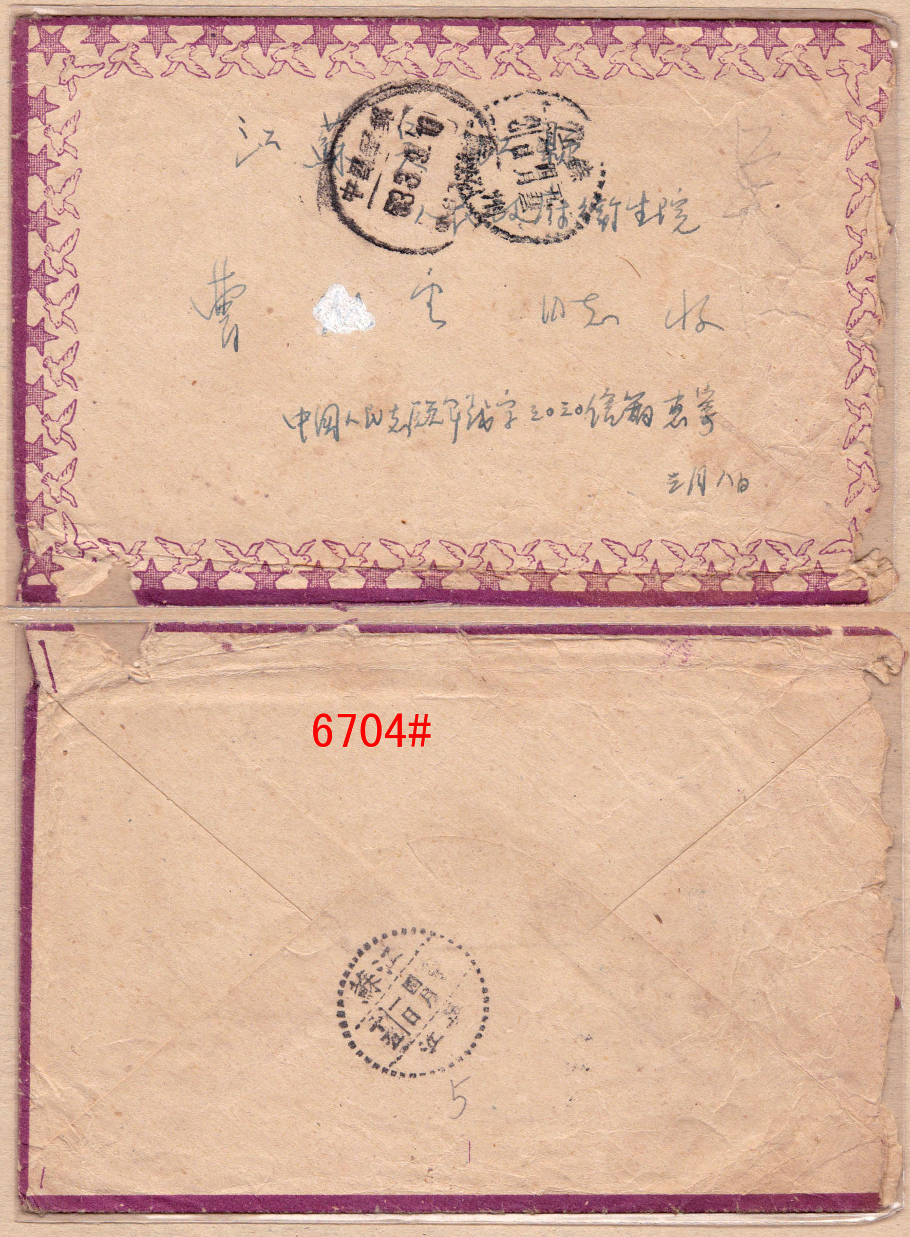 6704.jpg