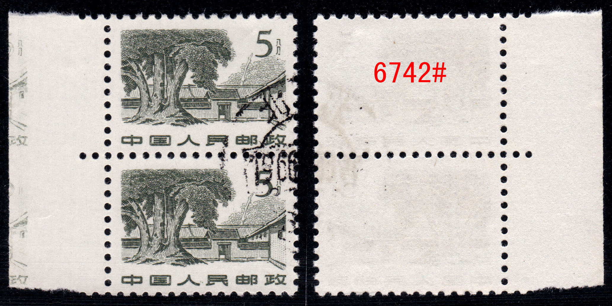 6742.jpg