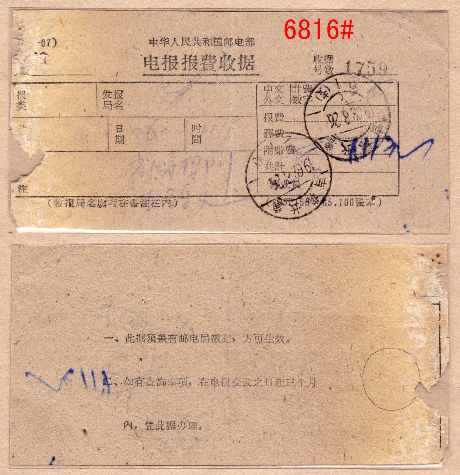 6816.jpg
