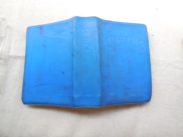DSCN3302.JPG