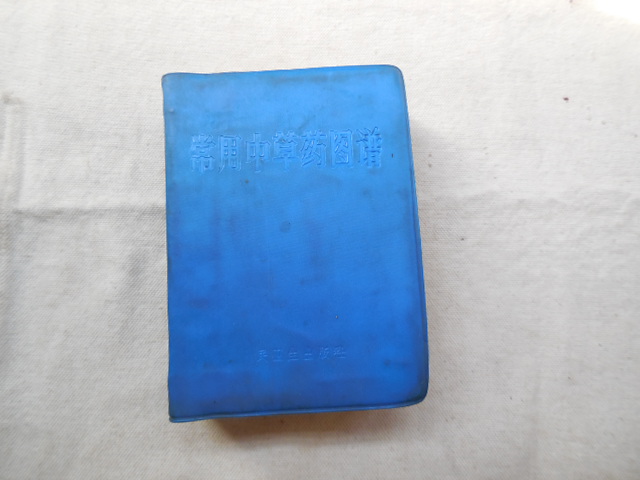 DSCN3301.JPG