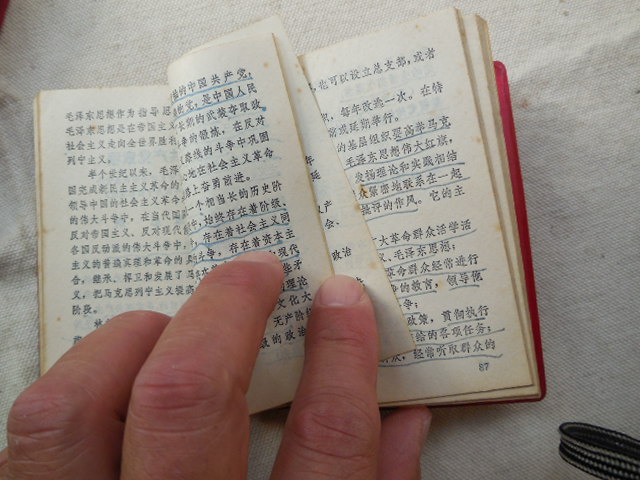 DSCN3331.JPG