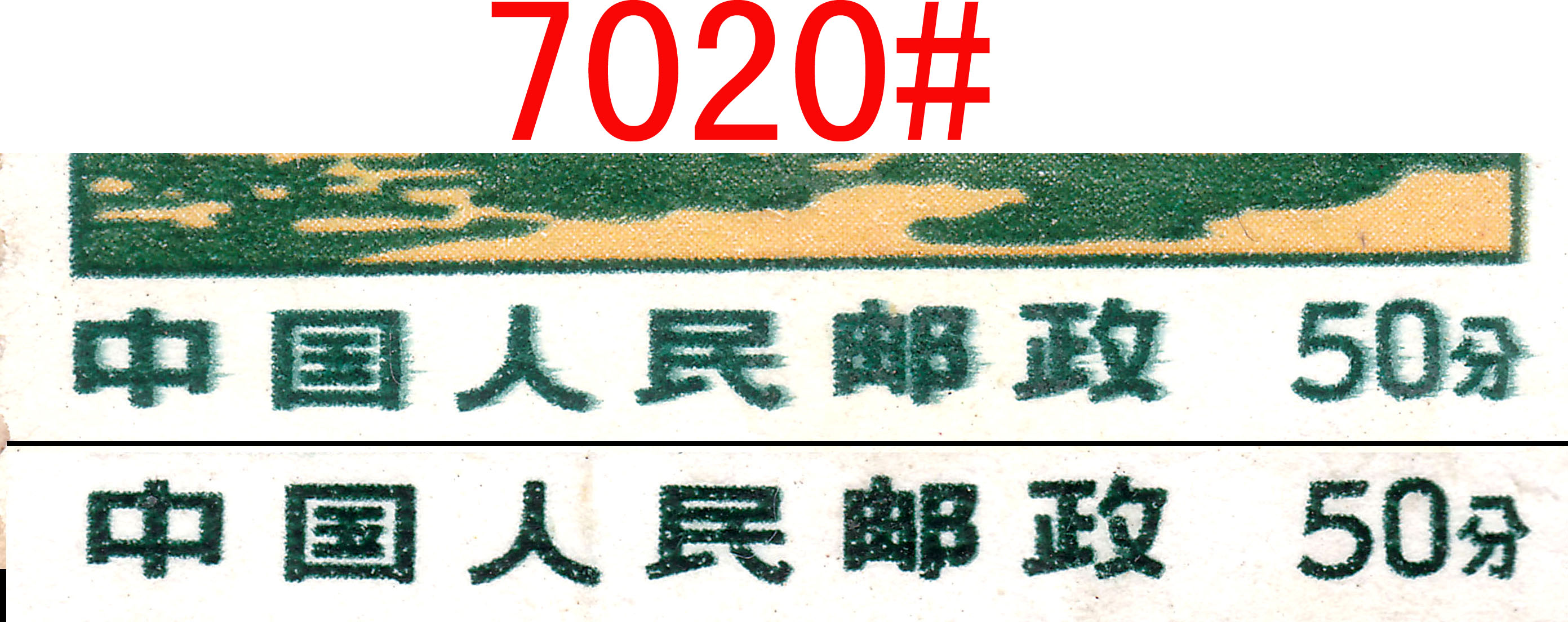 7020-1.jpg